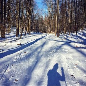 Meet your Posher, Adriane